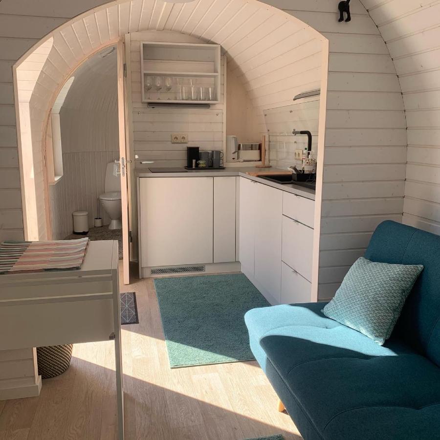 Kuldallika Igloo House And Iglusauna Kullamae Экстерьер фото